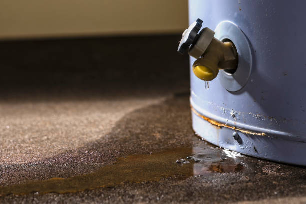 Best Water damage cleanup near me  in Fort Sumner, NM