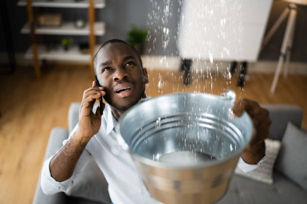 Best Emergency water damage restoration  in Fort Sumner, NM