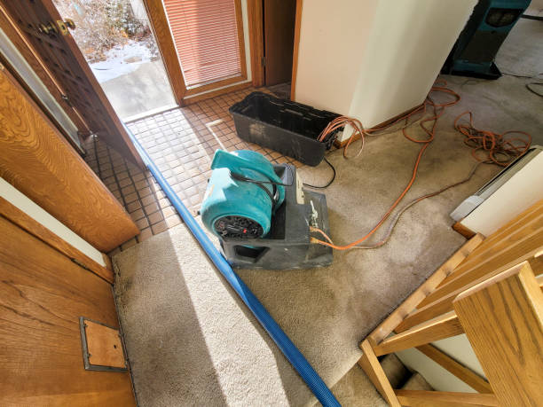 Best Fire Damage Restoration  in Fort Sumner, NM