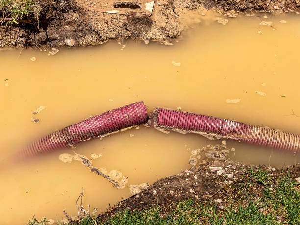 Best Residential water damage restoration  in Fort Sumner, NM